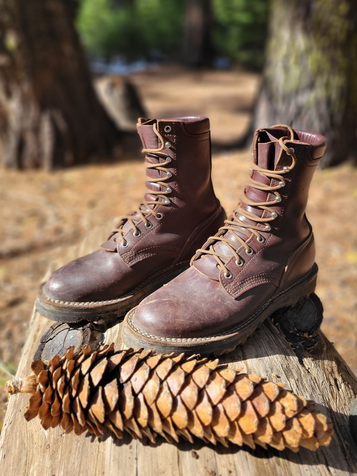 Photo by danjr92 on March 11, 2025 of the Nicks Ridgeline Hiking Boot in Seidel MaxSupport Walnut.