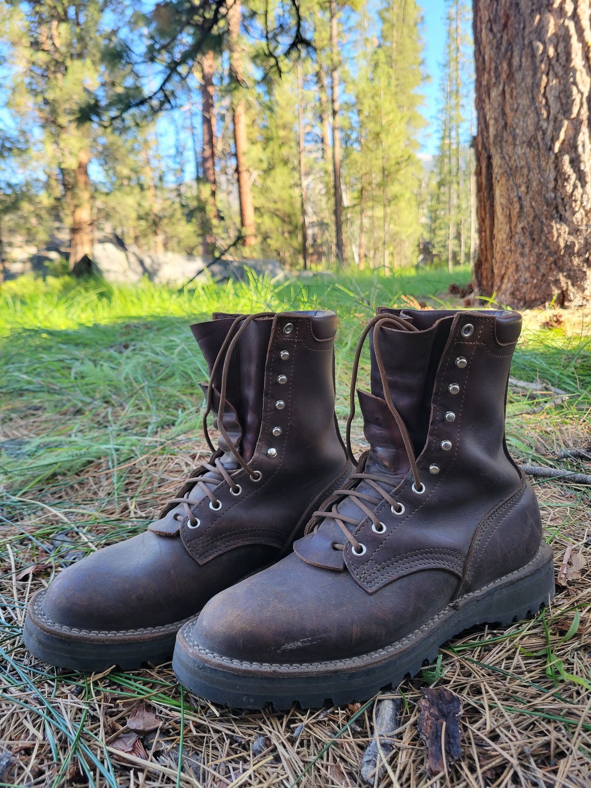 Photo by danjr92 on June 19, 2025 of the Nicks Ridgeline Hiking Boot in Seidel MaxSupport Walnut.