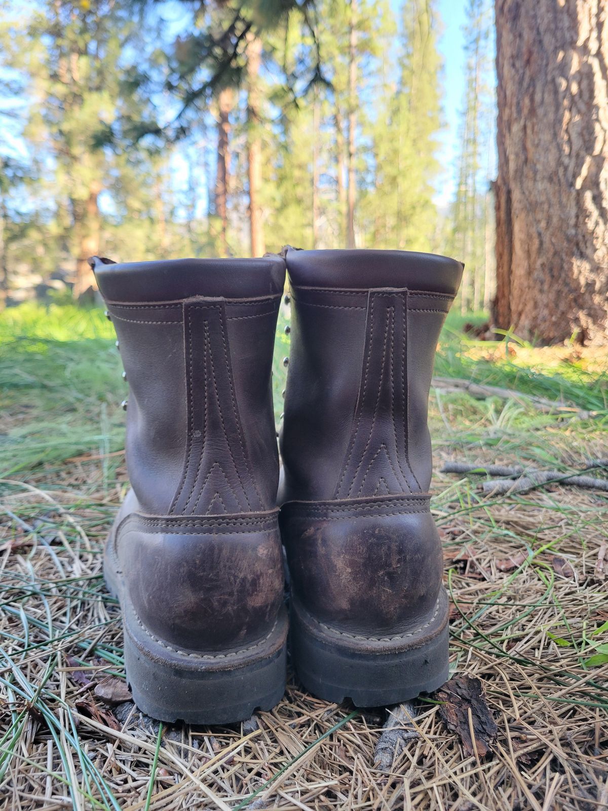 Photo by danjr92 on June 19, 2025 of the Nicks Ridgeline Hiking Boot in Seidel MaxSupport Walnut.