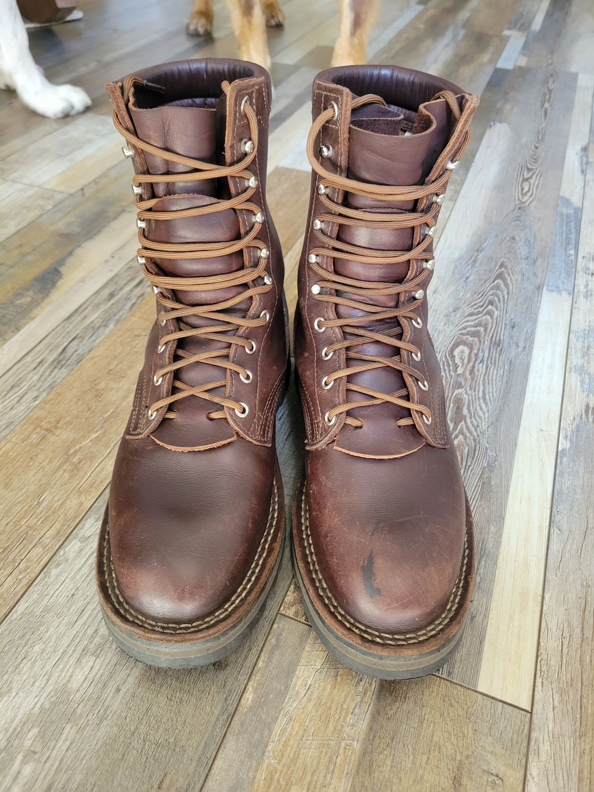 Photo by danjr92 on June 20, 2025 of the Nicks Ridgeline Hiking Boot in Seidel MaxSupport Walnut.