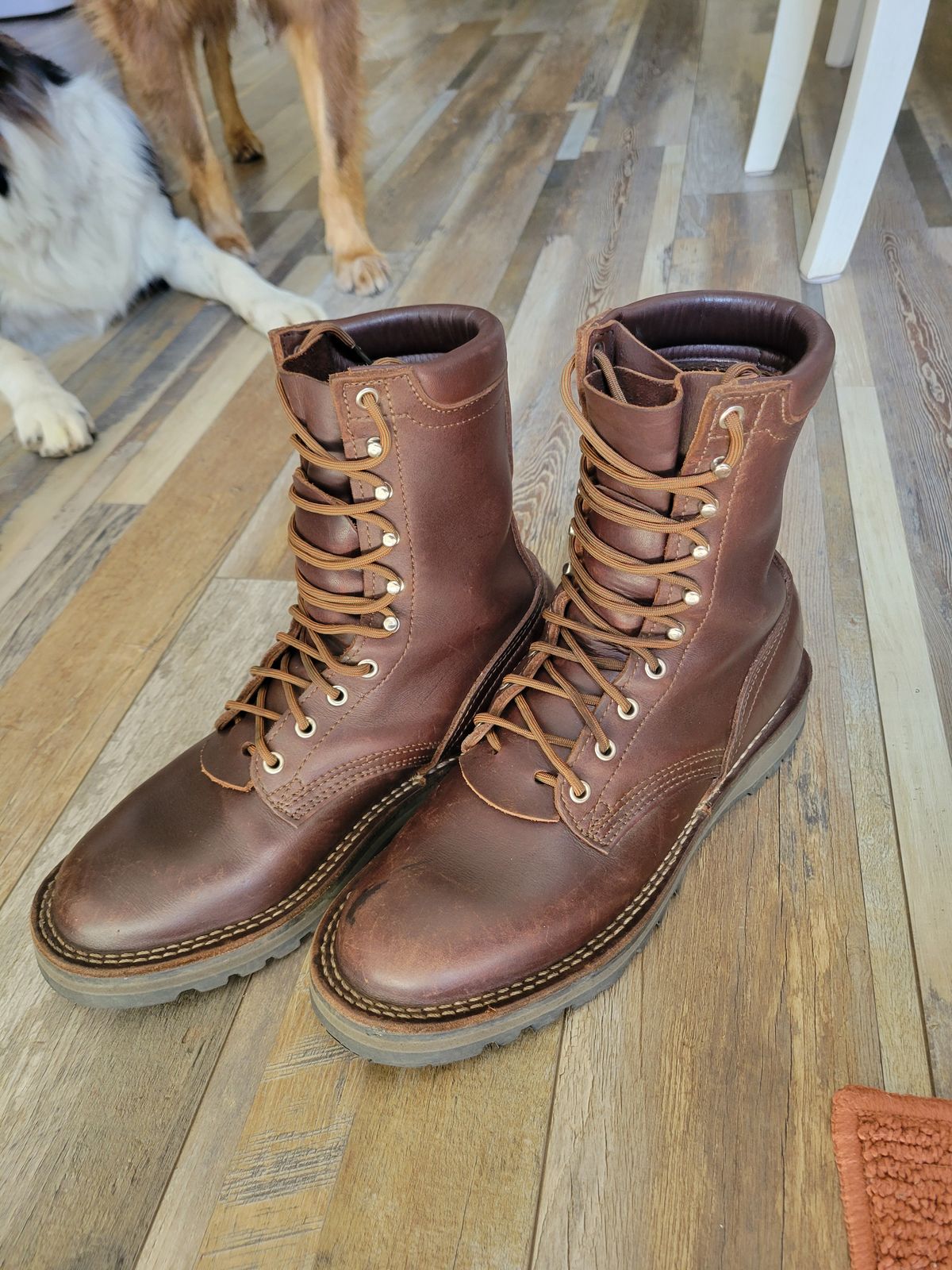 Photo by danjr92 on June 20, 2025 of the Nicks Ridgeline Hiking Boot in Seidel MaxSupport Walnut.
