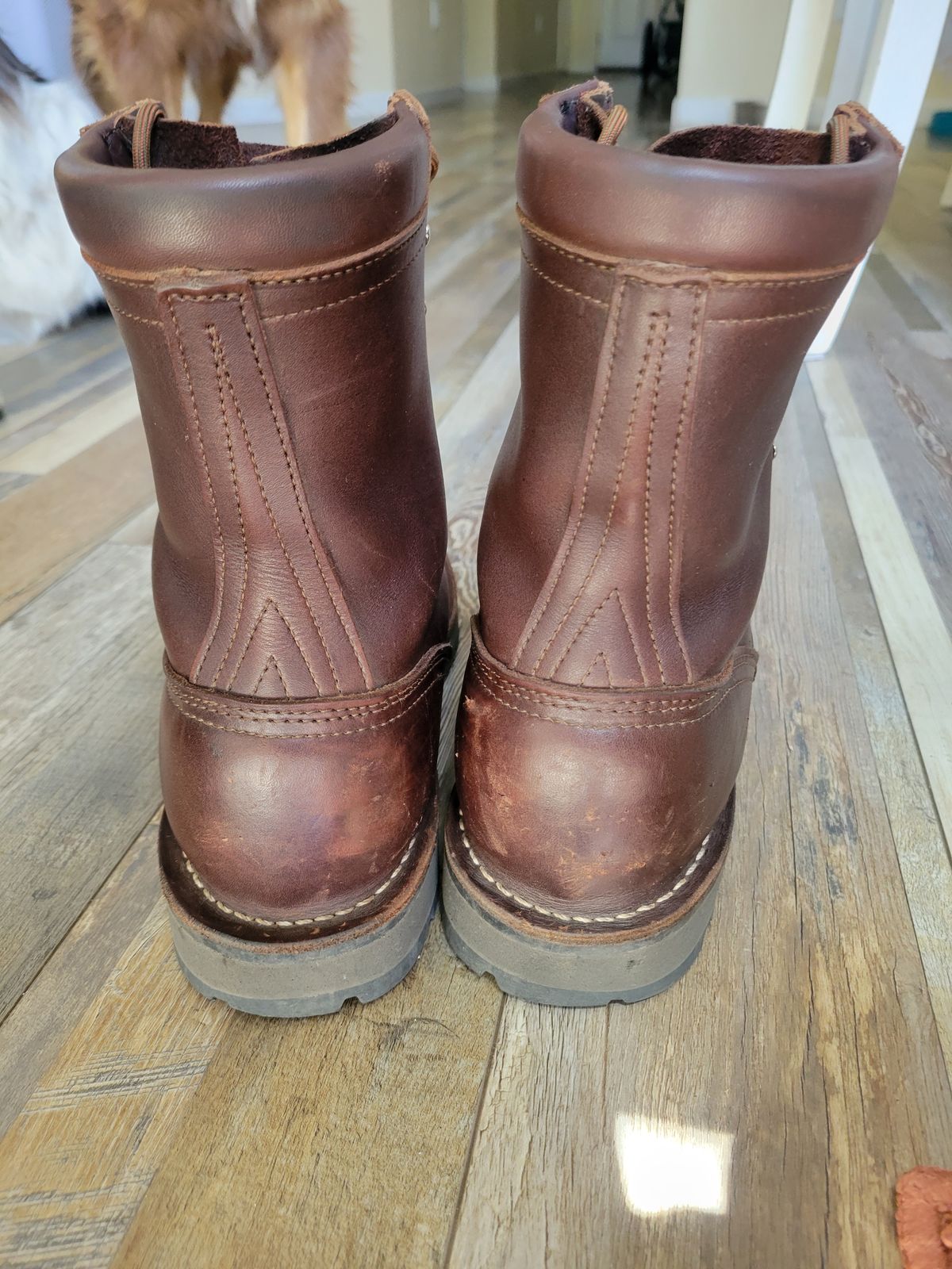 Photo by danjr92 on June 20, 2025 of the Nicks Ridgeline Hiking Boot in Seidel MaxSupport Walnut.
