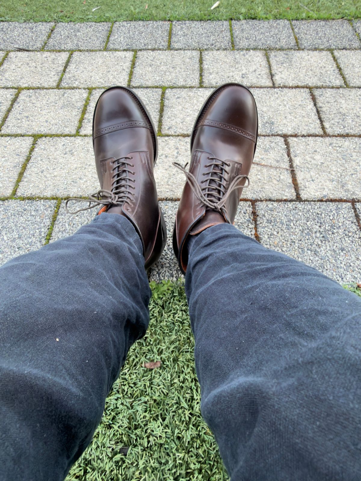 Photo by jotac on June 9, 2026 of the Viberg Service Boot BCT in Horween Dark Cognac Shell Cordovan.