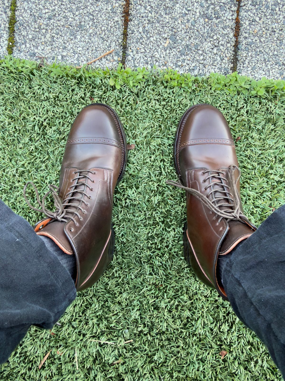 Photo by jotac on June 9, 2026 of the Viberg Service Boot BCT in Horween Dark Cognac Shell Cordovan.
