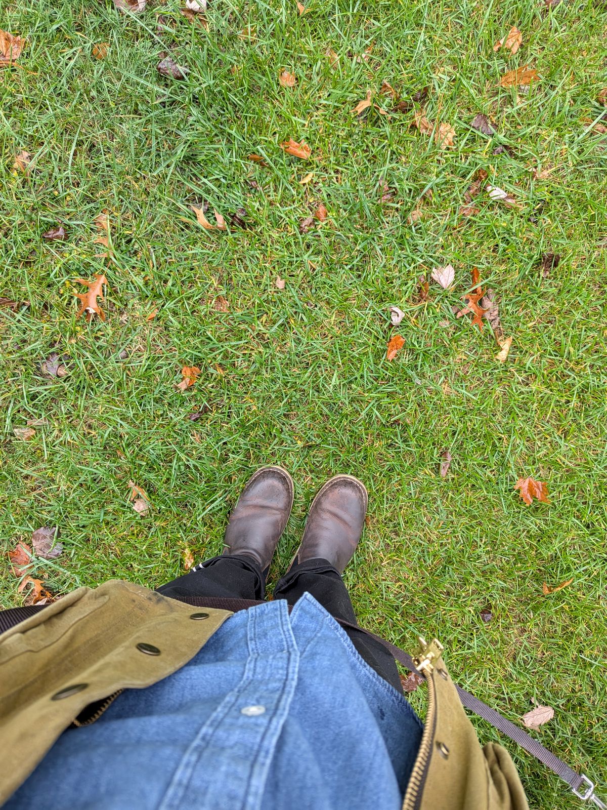 Photo by staikhouse on November 28, 2024 of the Danner Bull Run Chelsea in Brown Full Grain.