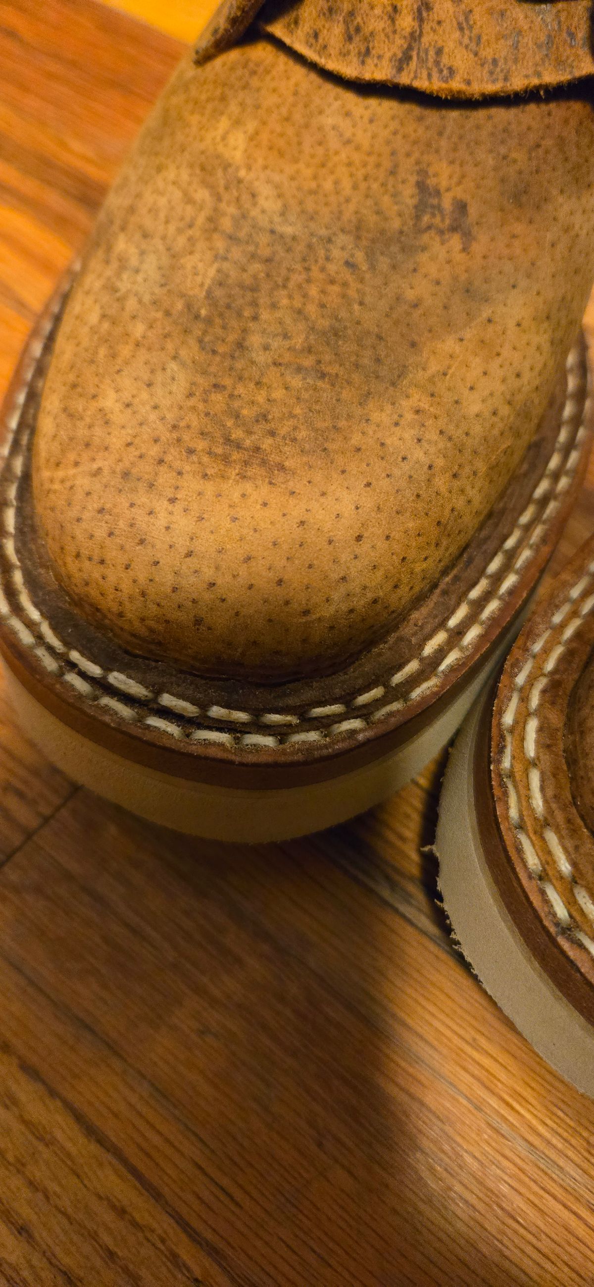 Photo by ratrod34 on November 13, 2025 of the White's 350 Cs in Gallun Copper Wild Boar.