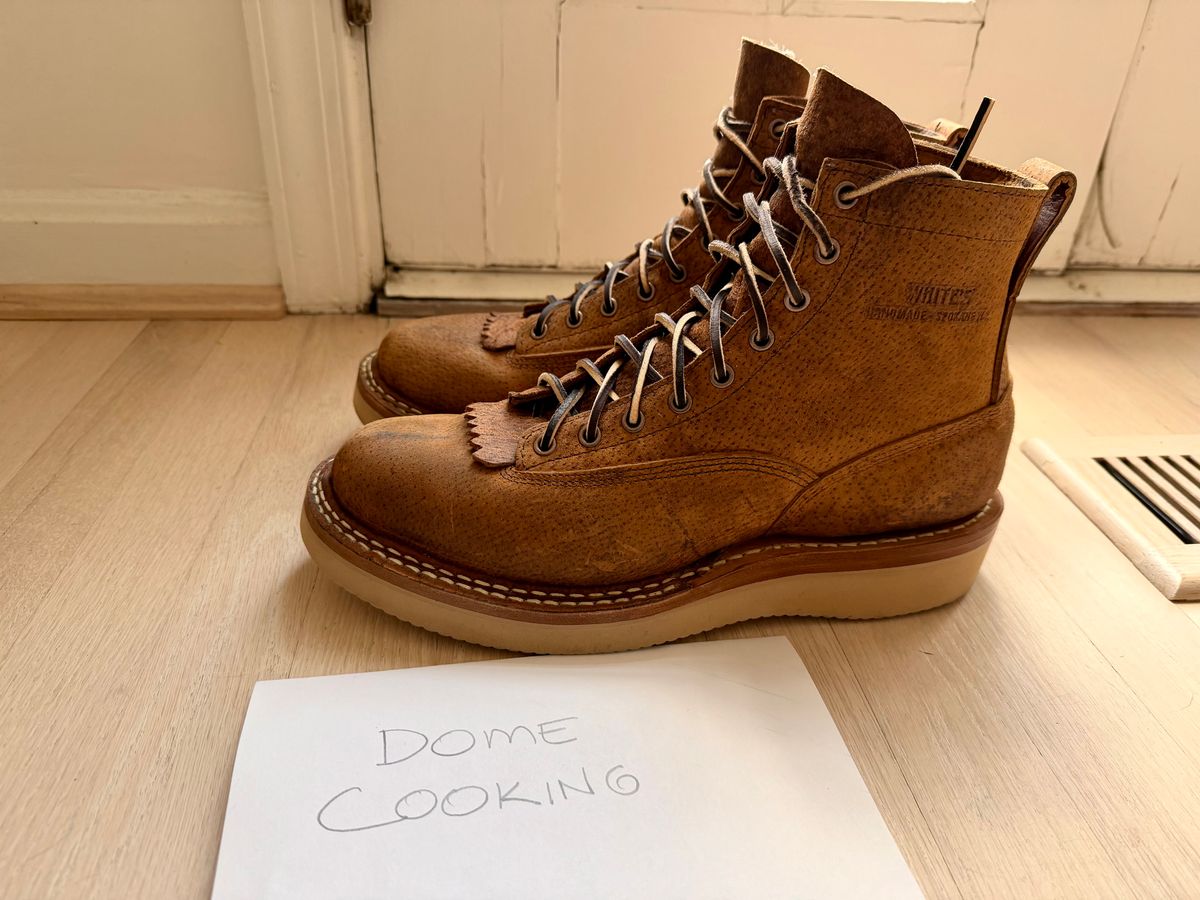 Photo by sorrick on November 1, 2025 of the White's 350LTT-CS Boar in Gallun Copper Boar.