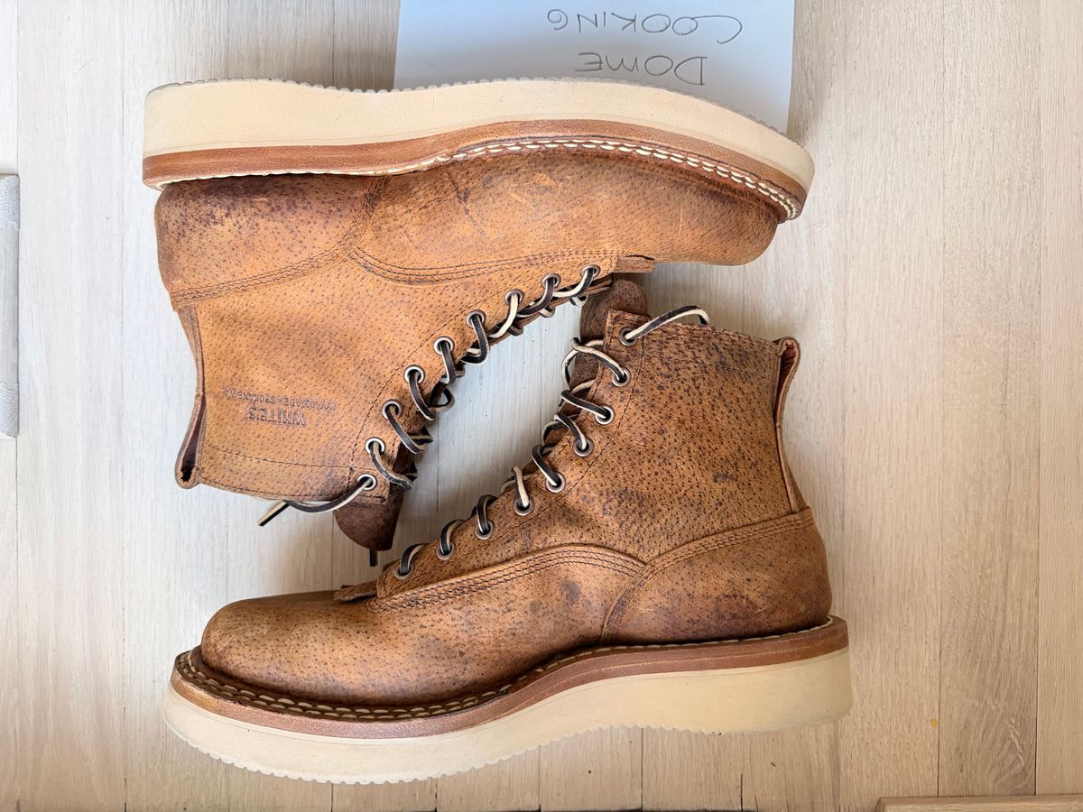 Photo by sorrick on November 1, 2025 of the White's 350LTT-CS Boar in Gallun Copper Boar.