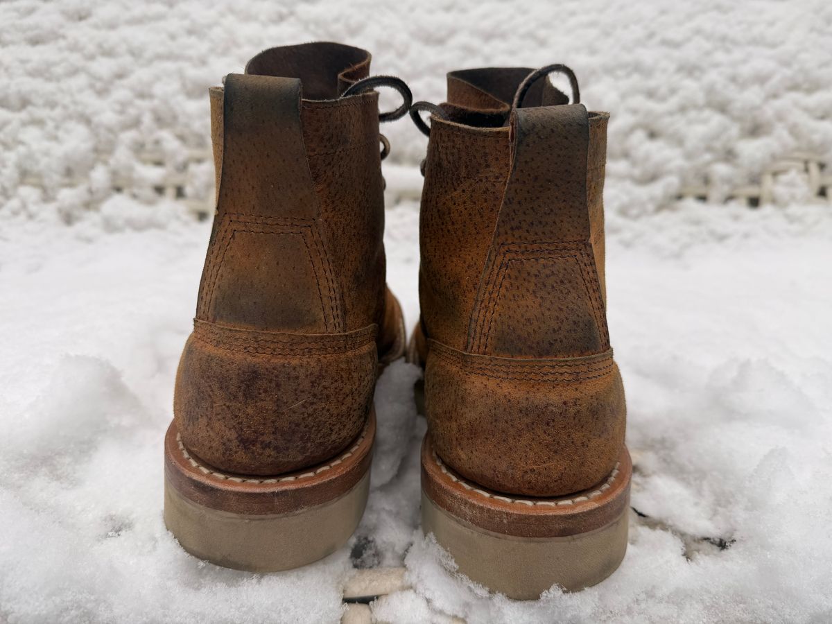 Photo by sorrick on December 5, 2025 of the White's 350LTT-CS Boar in Gallun Copper Boar.