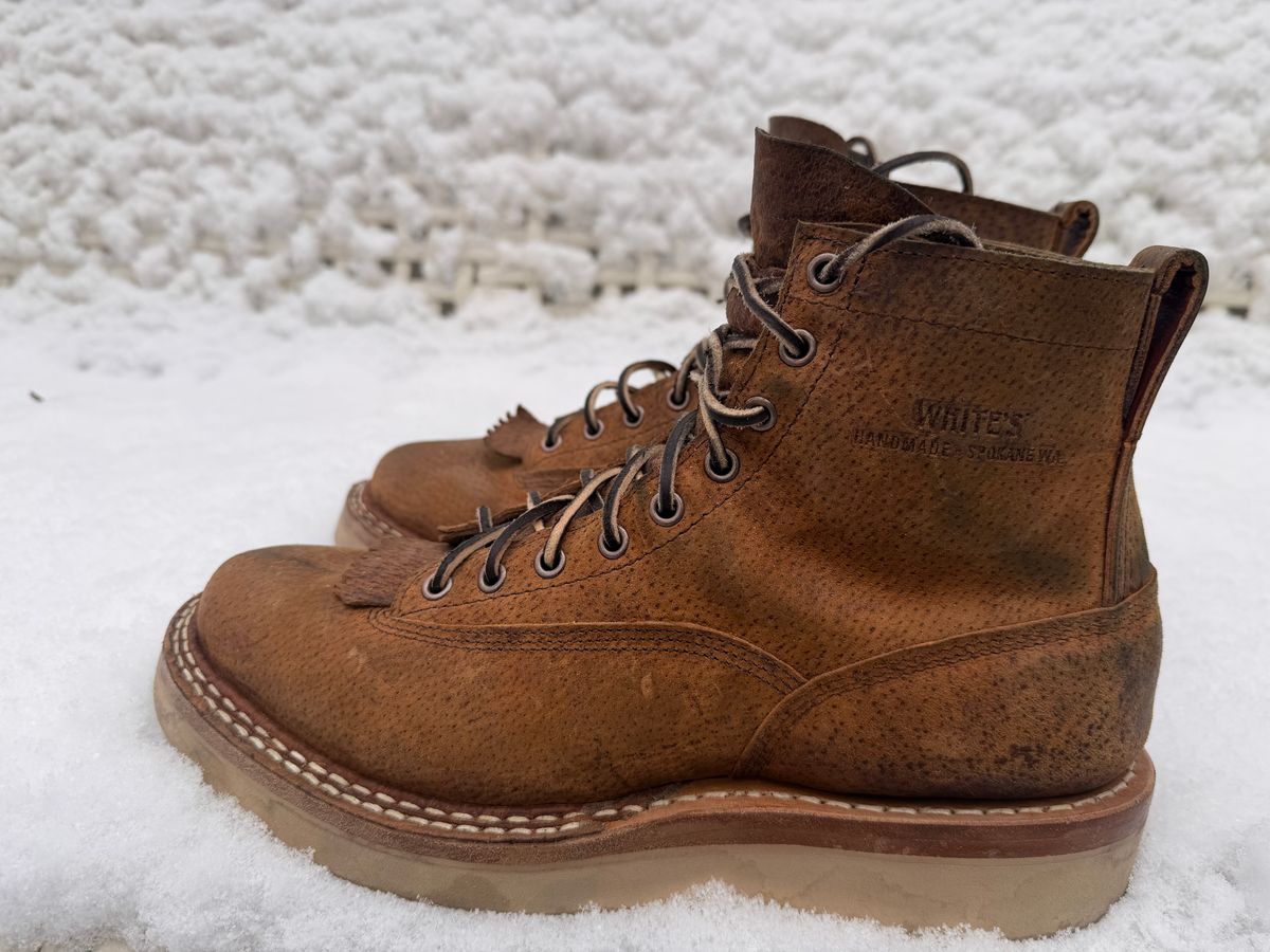 Photo by sorrick on December 5, 2025 of the White's 350LTT-CS Boar in Gallun Copper Boar.