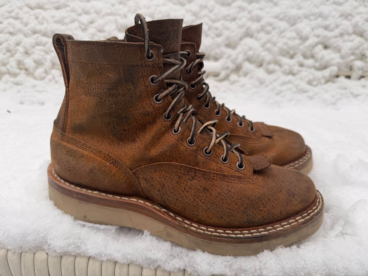 Photo by sorrick on December 5, 2025 of the White's 350LTT-CS Boar in Gallun Copper Boar.