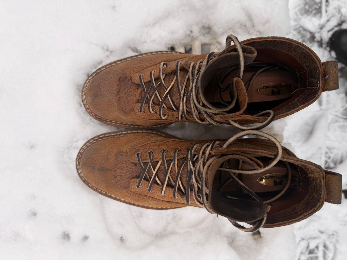 Photo by sorrick on December 5, 2025 of the White's 350LTT-CS Boar in Gallun Copper Boar.