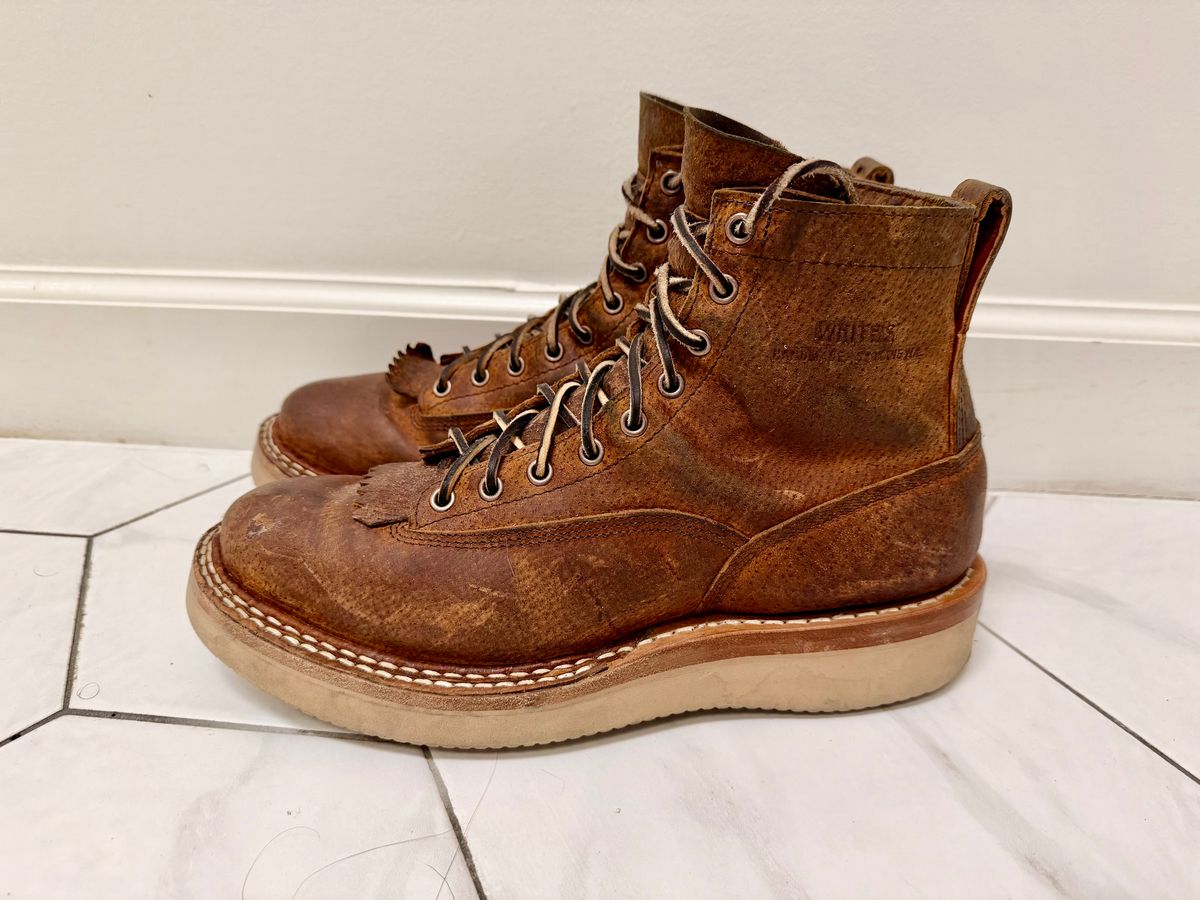 Photo by sorrick on January 5, 2026 of the White's 350LTT-CS Boar in Gallun Copper Boar.