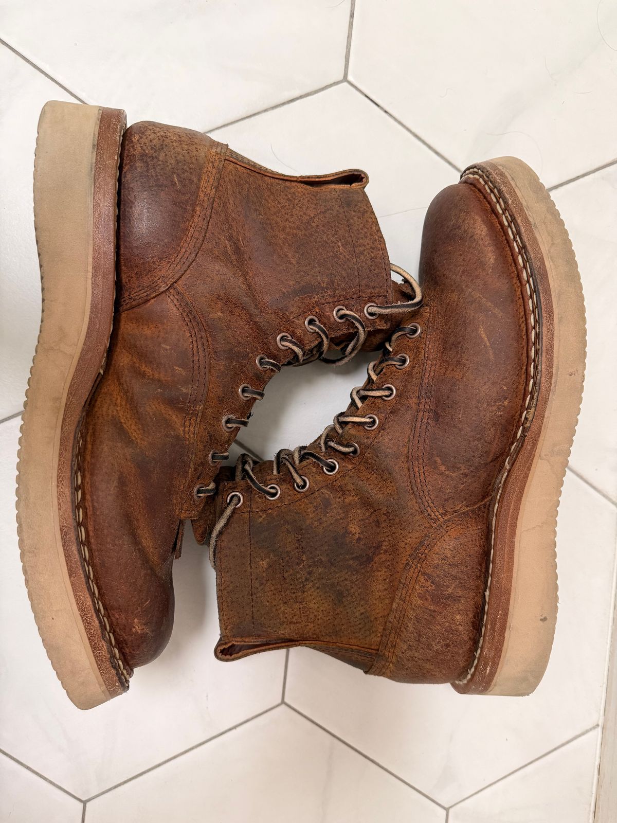 Photo by sorrick on January 5, 2026 of the White's 350LTT-CS Boar in Gallun Copper Boar.