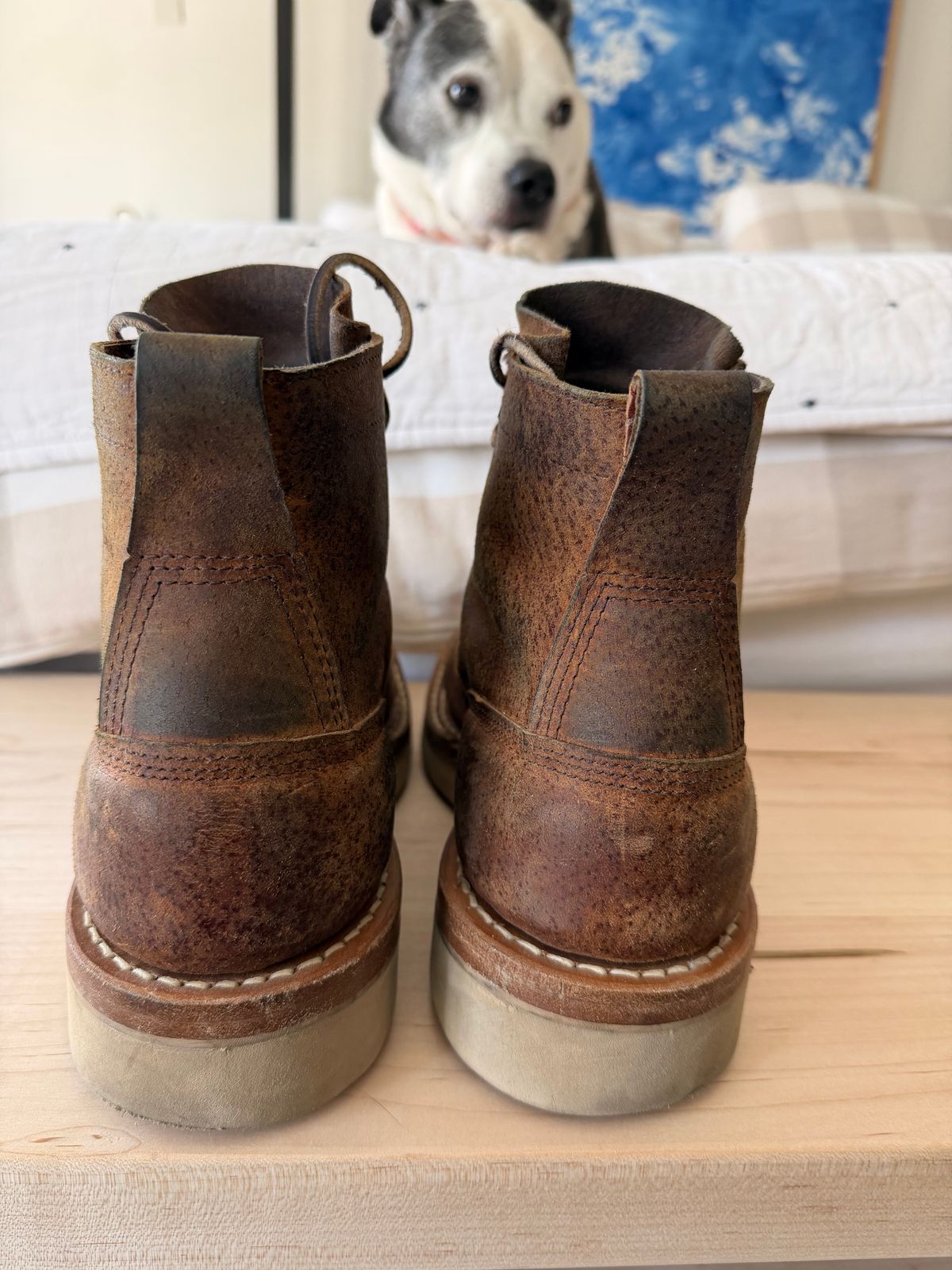 Photo by sorrick on February 4, 2026 of the White's 350LTT-CS Boar in Gallun Copper Boar.