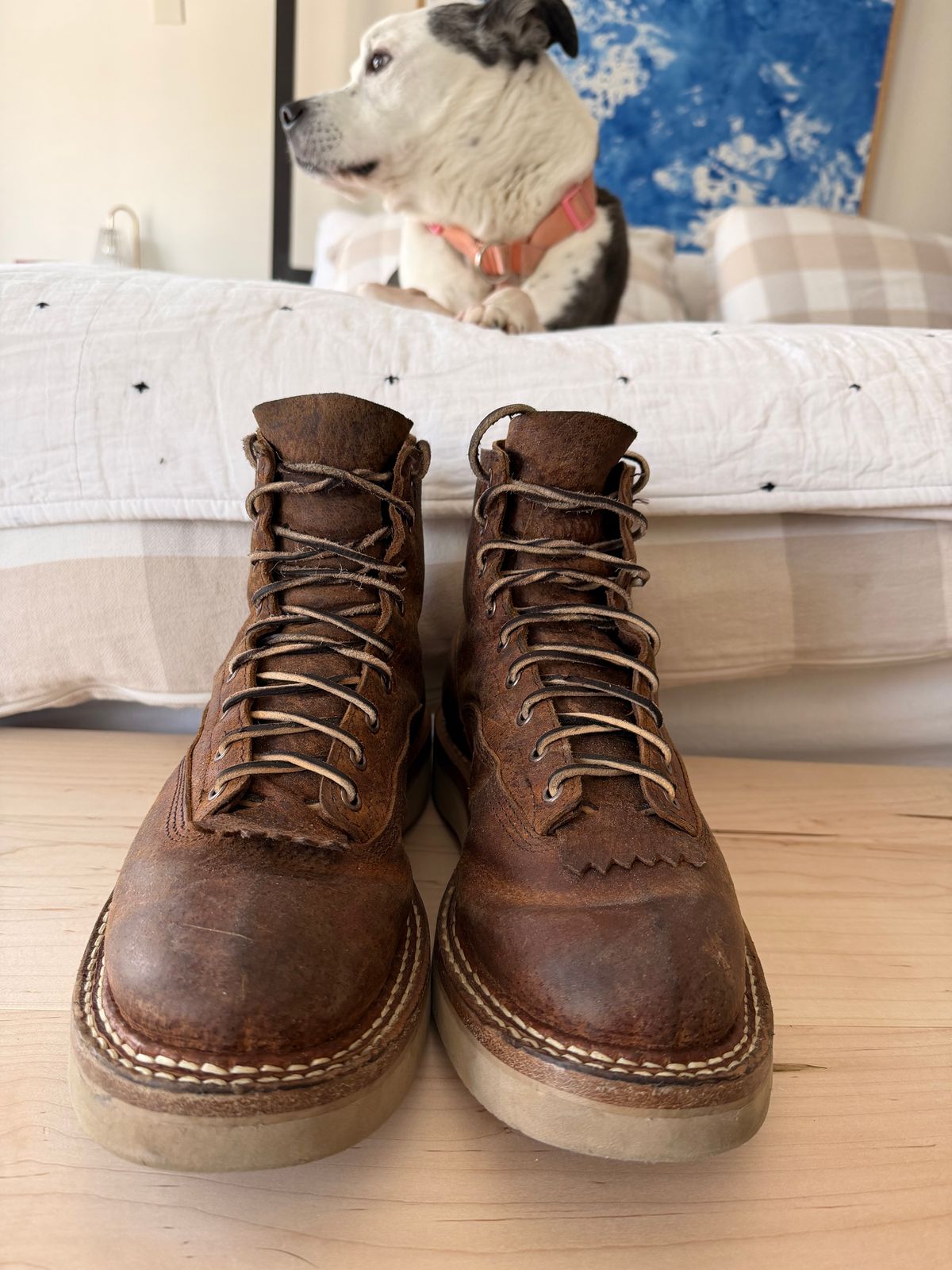 Photo by sorrick on February 4, 2026 of the White's 350LTT-CS Boar in Gallun Copper Boar.