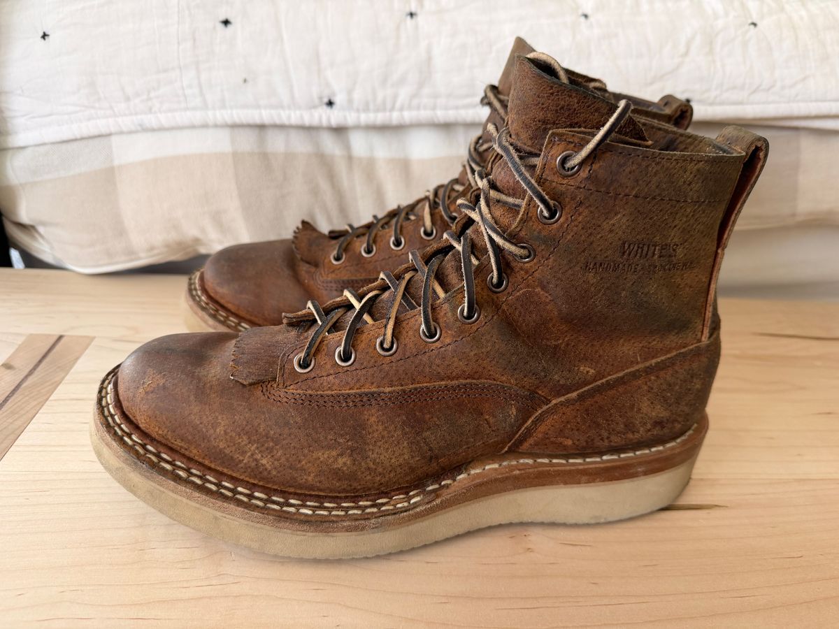 Photo by sorrick on February 4, 2026 of the White's 350LTT-CS Boar in Gallun Copper Boar.