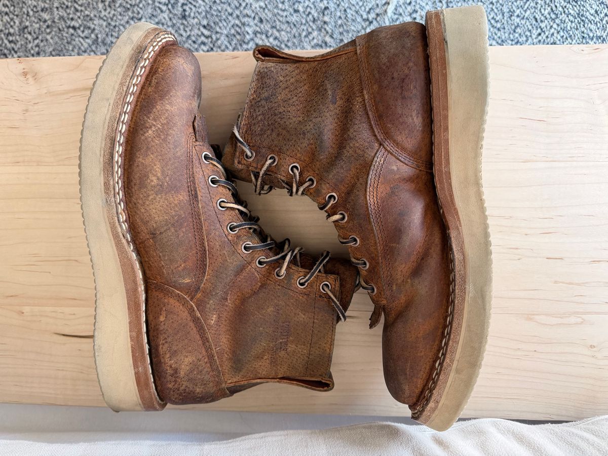 Photo by sorrick on February 4, 2026 of the White's 350LTT-CS Boar in Gallun Copper Boar.