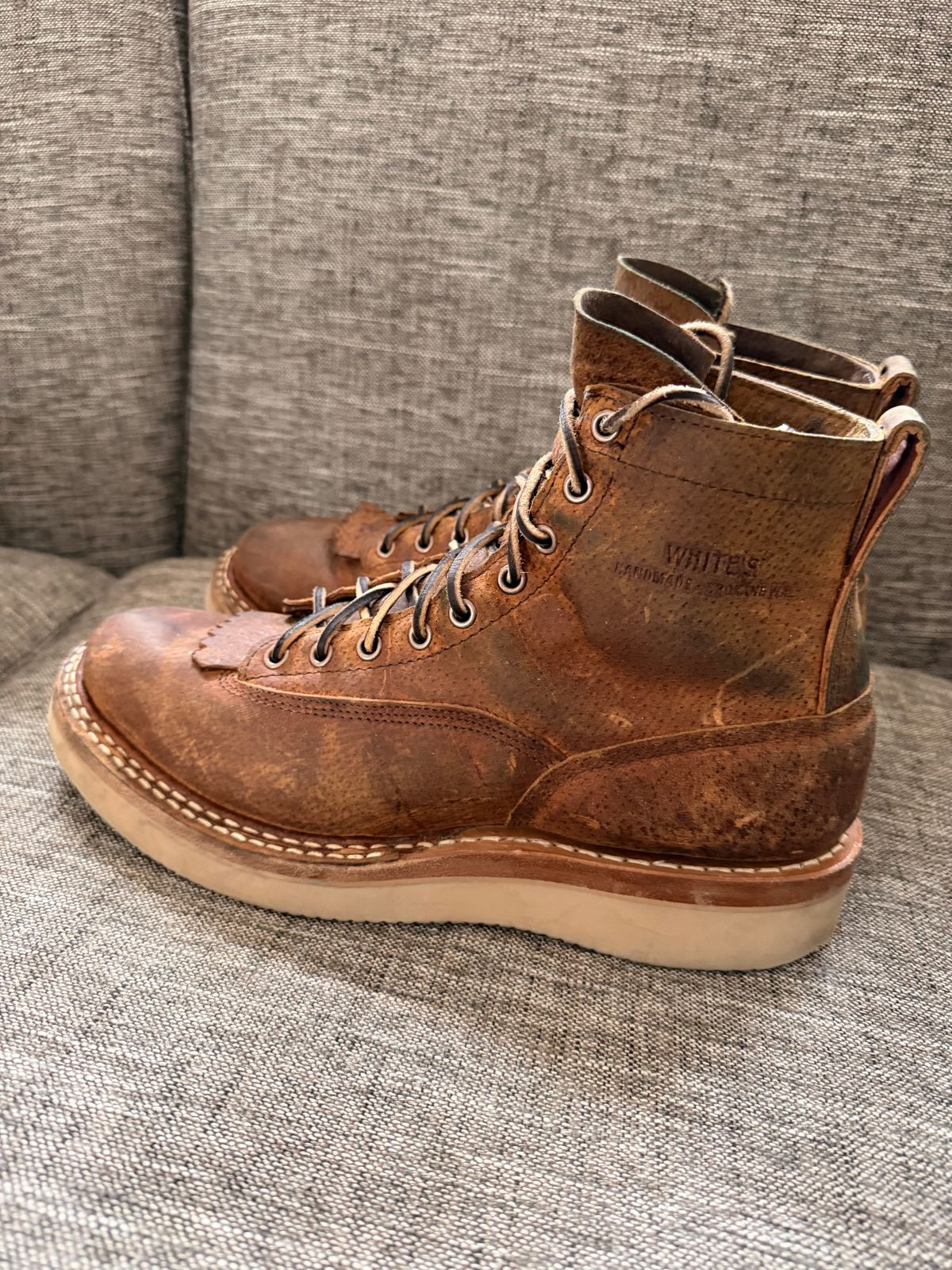 Photo by sorrick on March 5, 2026 of the White's 350LTT-CS Boar in Gallun Copper Boar.