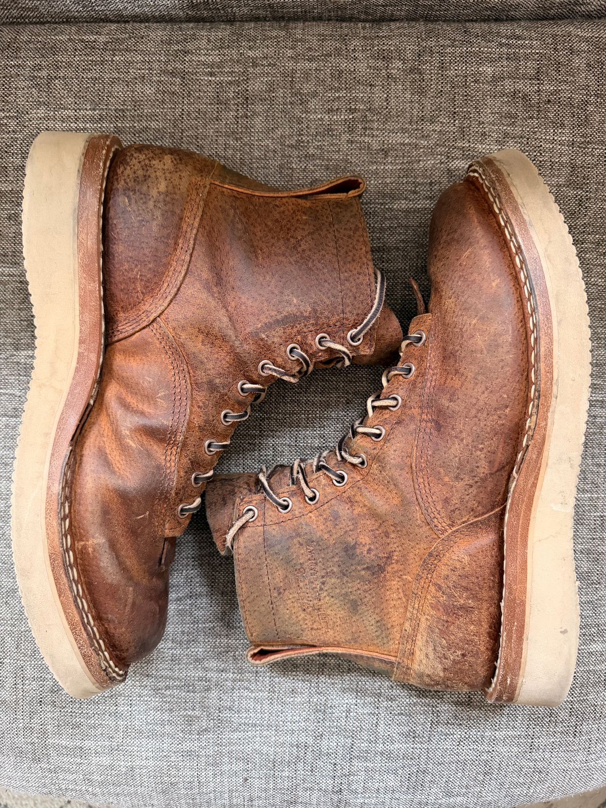 Photo by sorrick on March 5, 2026 of the White's 350LTT-CS Boar in Gallun Copper Boar.