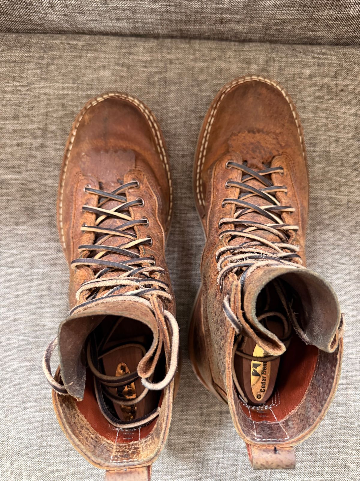 Photo by sorrick on March 5, 2026 of the White's 350LTT-CS Boar in Gallun Copper Boar.