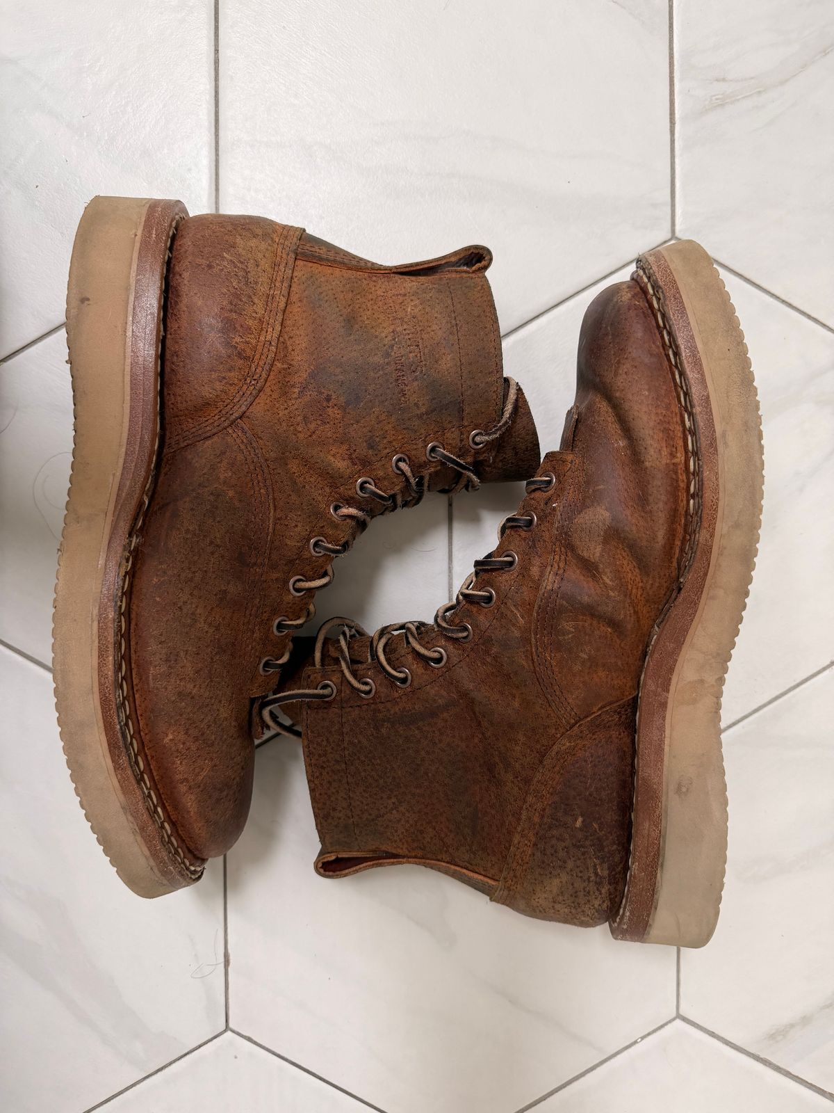 Photo by sorrick on April 3, 2026 of the White's 350LTT-CS Boar in Gallun Copper Boar.