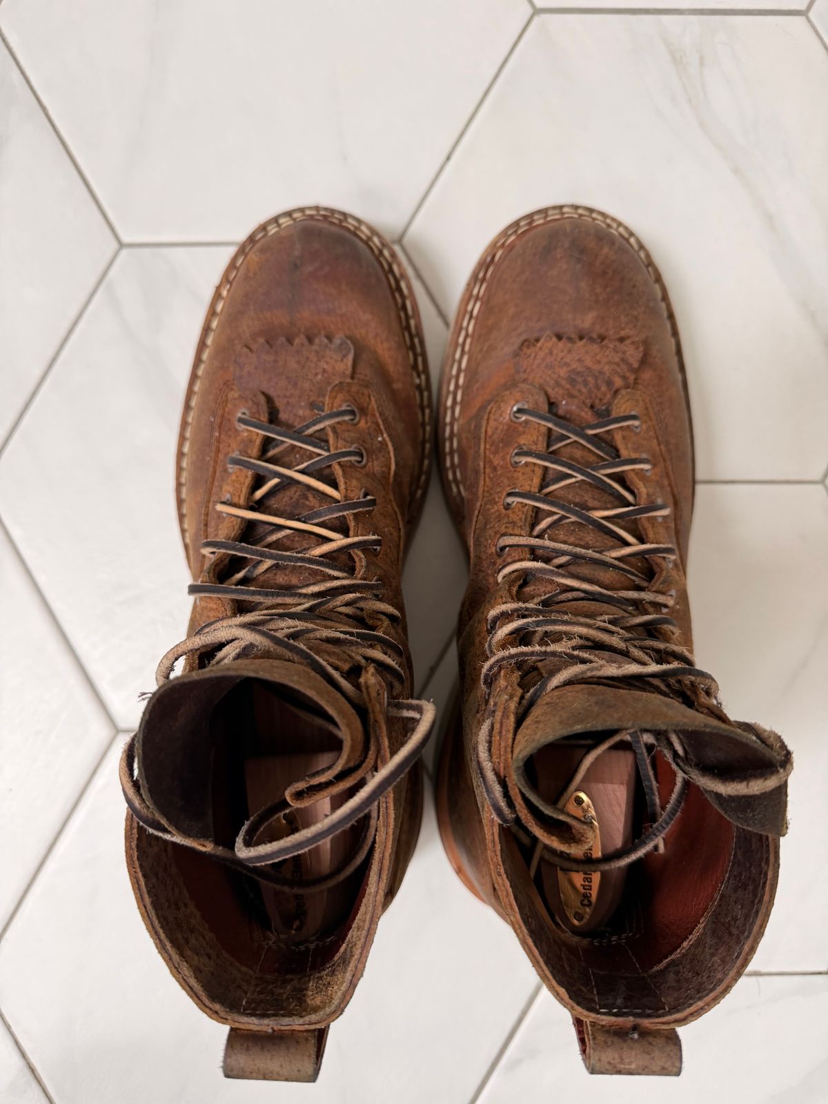 Photo by sorrick on April 3, 2026 of the White's 350LTT-CS Boar in Gallun Copper Boar.