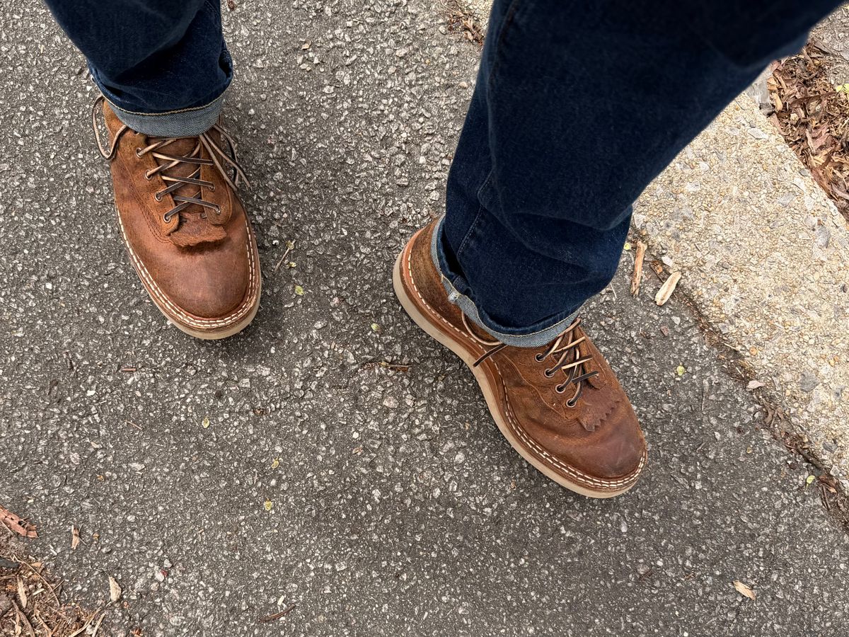 Photo by sorrick on April 3, 2026 of the White's 350LTT-CS Boar in Gallun Copper Boar.