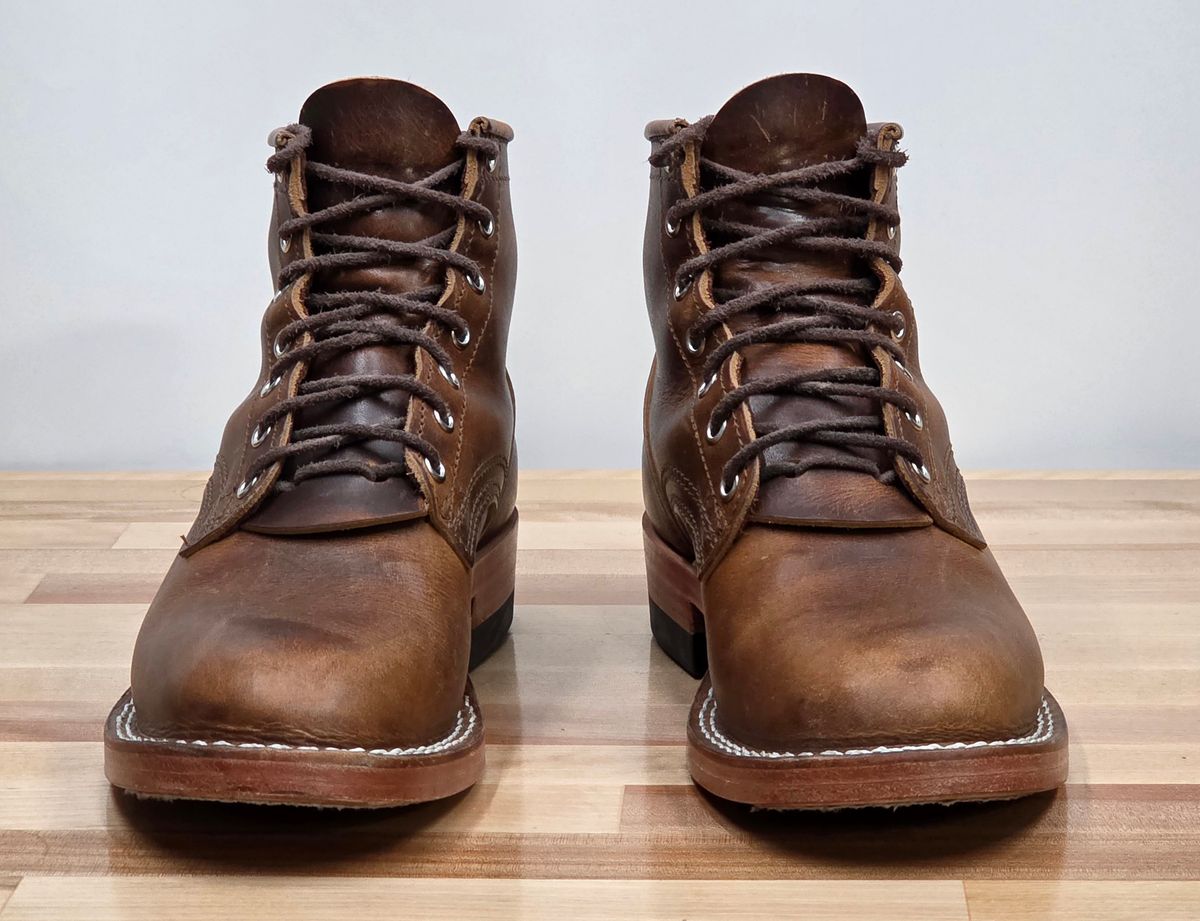 Photo by GumballGimbel on November 4, 2025 of the Nicks DomePro in Cypress Moc.