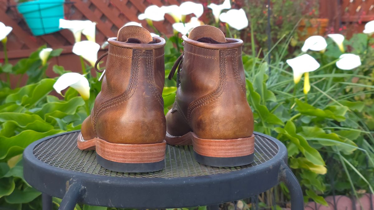 Photo by GumballGimbel on January 24, 2026 of the Nicks DomePro in Cypress Moc.