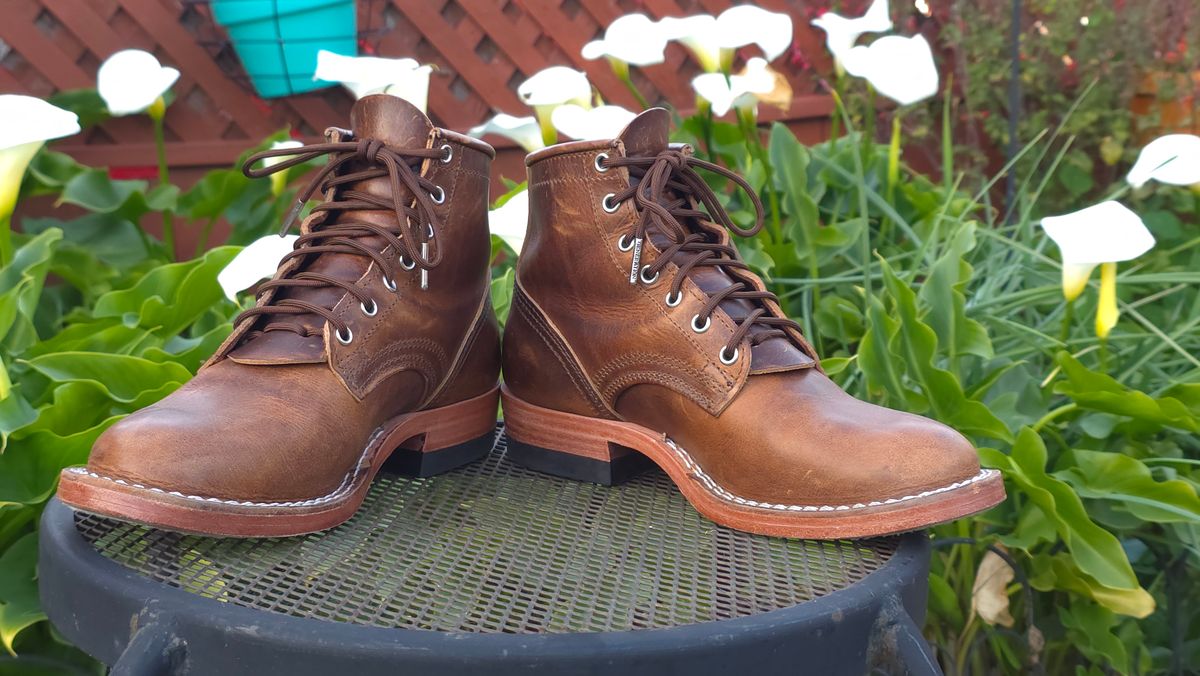 Photo by GumballGimbel on January 24, 2026 of the Nicks DomePro in Cypress Moc.