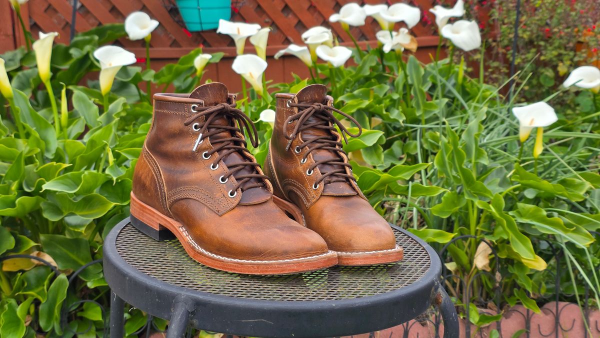 Photo by GumballGimbel on January 23, 2026 of the Nicks DomePro in Cypress Moc.