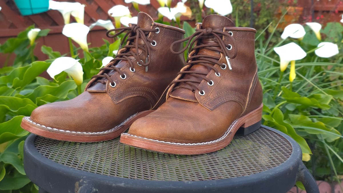 Photo by GumballGimbel on January 24, 2026 of the Nicks DomePro in Cypress Moc.