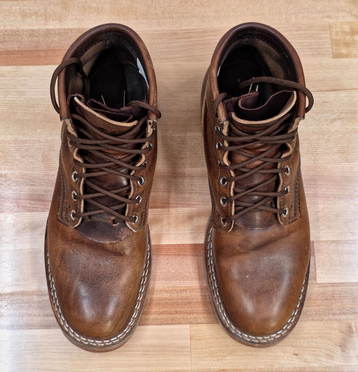 Photo by GumballGimbel on March 4, 2026 of the Nicks DomePro in Cypress Moc.