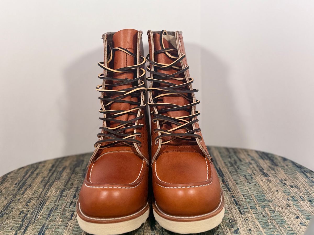 Photo by M_Vaughan on October 2, 2025 of the Red Wing 8-Inch Classic Moc in Oro Legacy Leather.