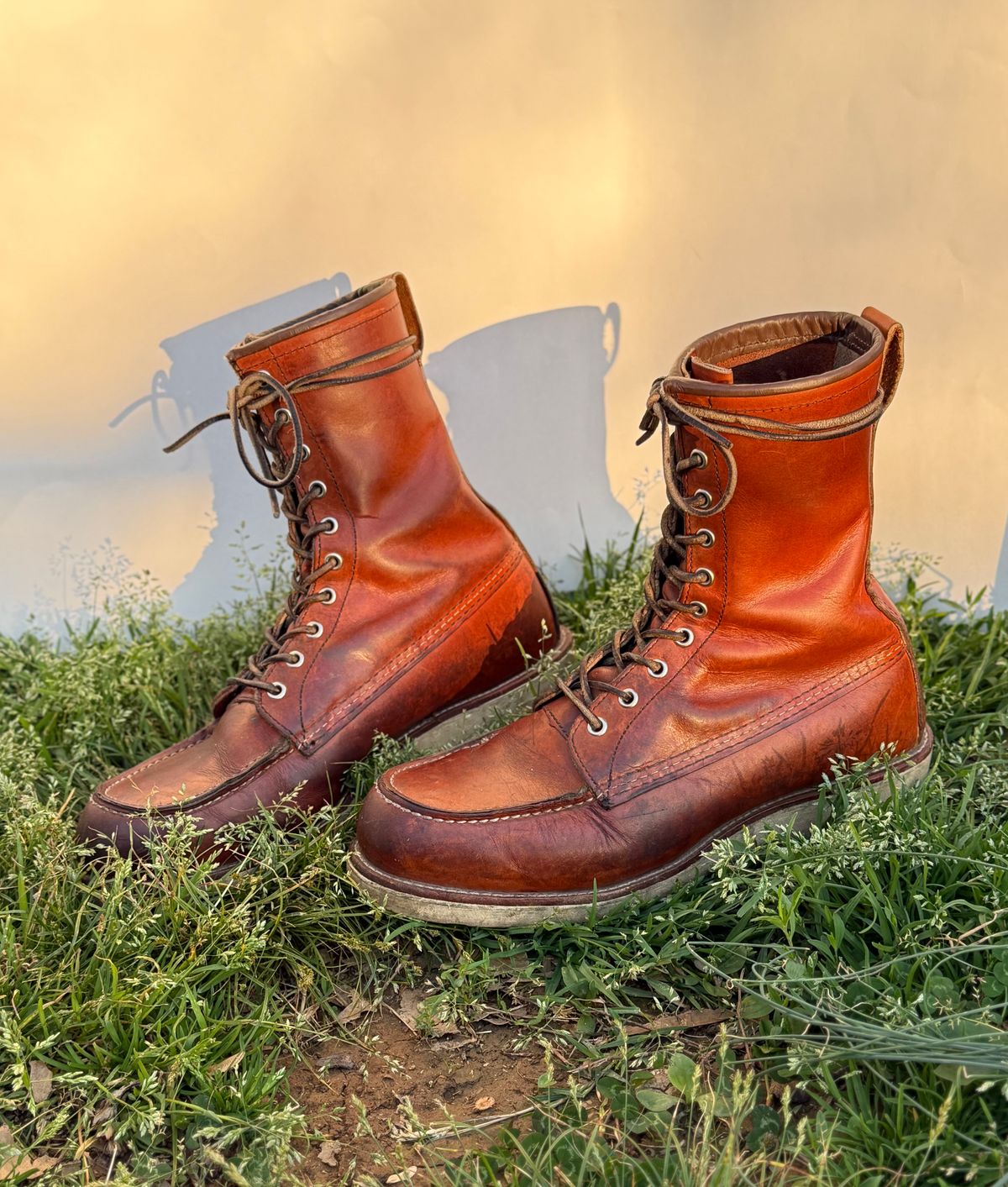Photo by M_Vaughan on April 5, 2026 of the Red Wing 8-Inch Classic Moc in Oro Legacy Leather.