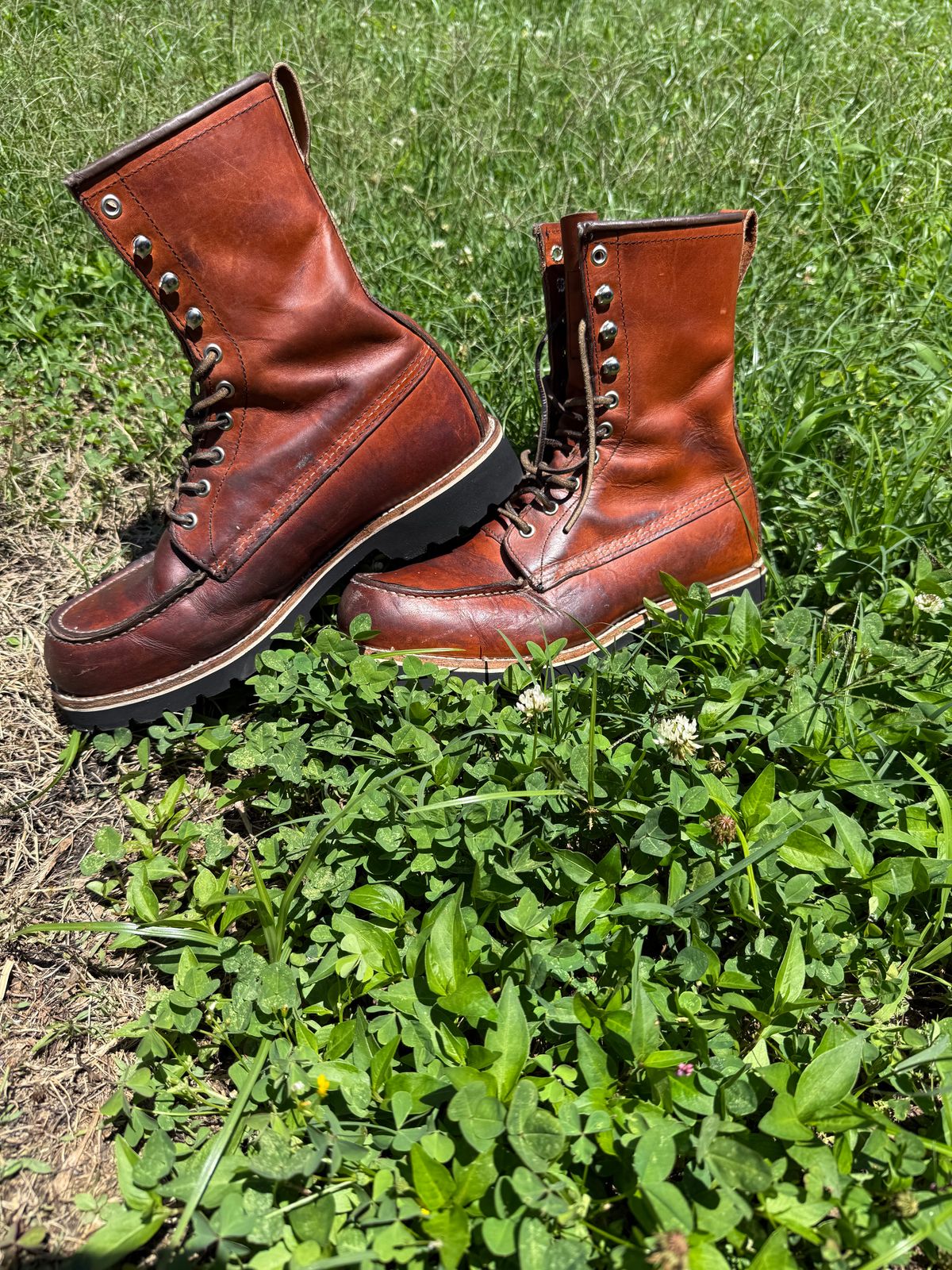 Photo by M_Vaughan on June 3, 2026 of the Red Wing 8-Inch Classic Moc in Oro Legacy Leather.