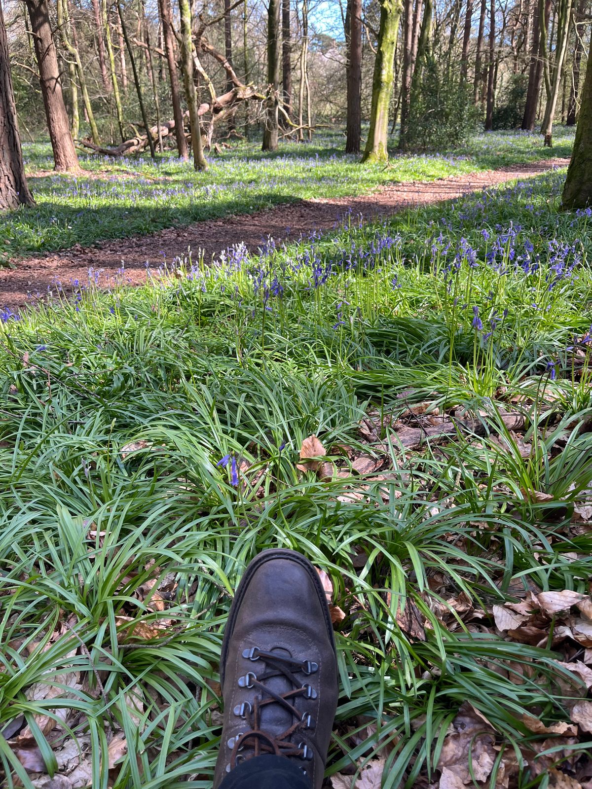 Photo by attaboy_alloy on April 6, 2026 of the Loake Hiker in Suede.