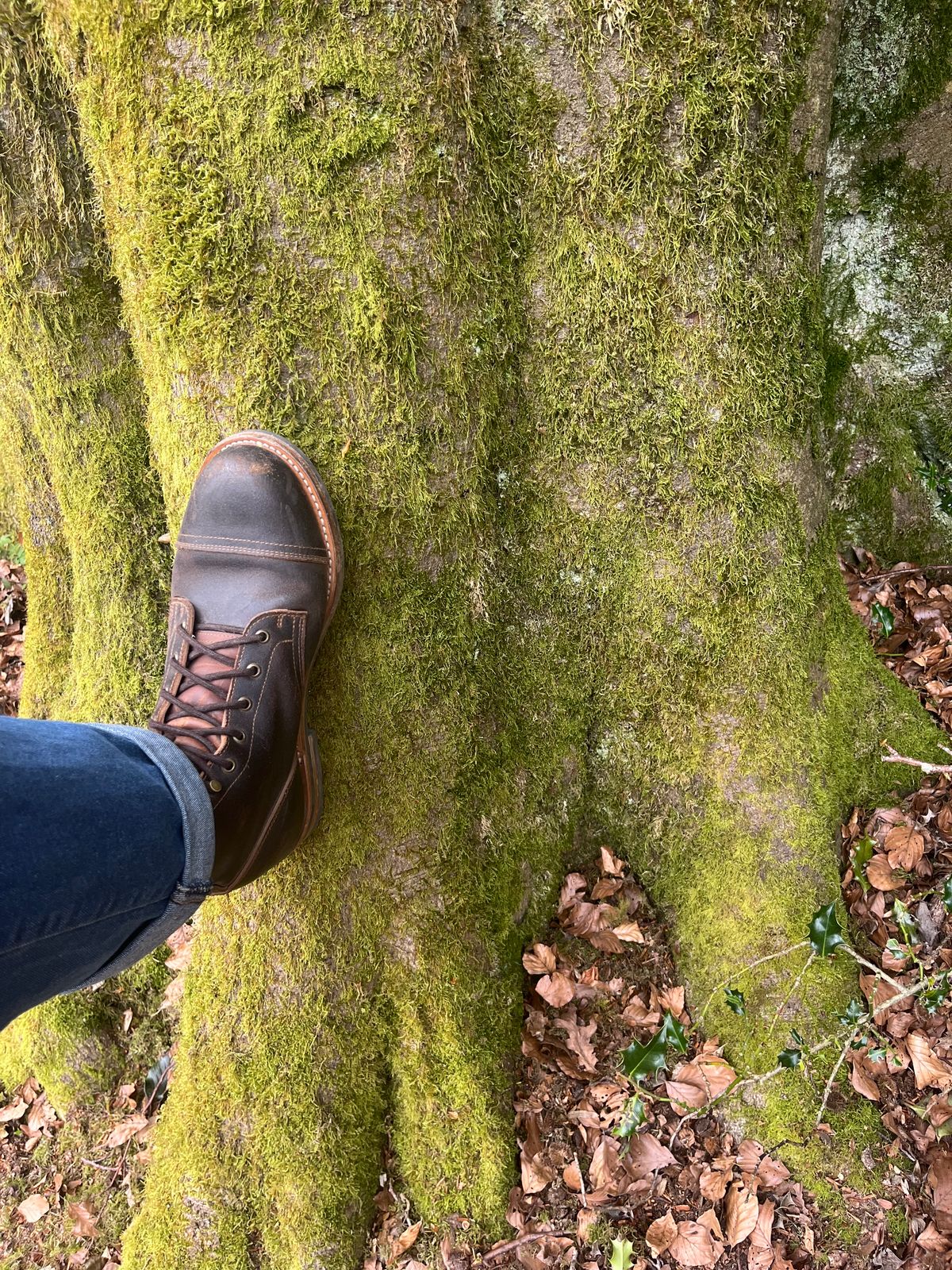 Photo by attaboy_alloy on April 4, 2026 of the Truman Cap Toe Boot in Horween Java Waxed Flesh.
