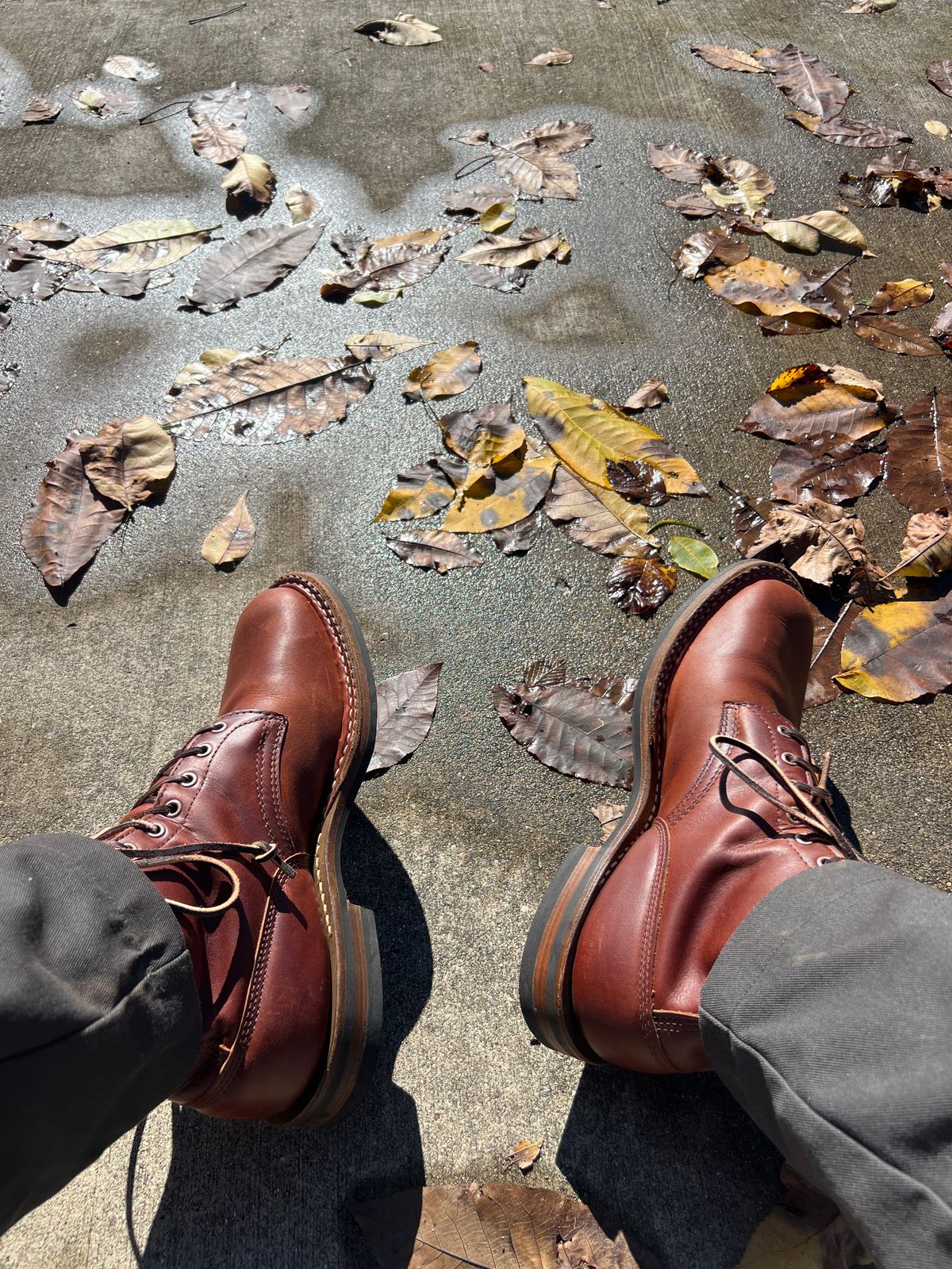 Photo by nolangilo on October 20, 2025 of the White's 350 Cruiser in Seidel British Tan Double Shot.