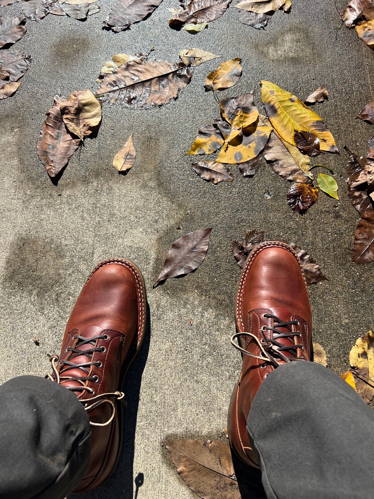 Photo by nolangilo on October 20, 2025 of the White's 350 Cruiser in Seidel British Tan Double Shot.