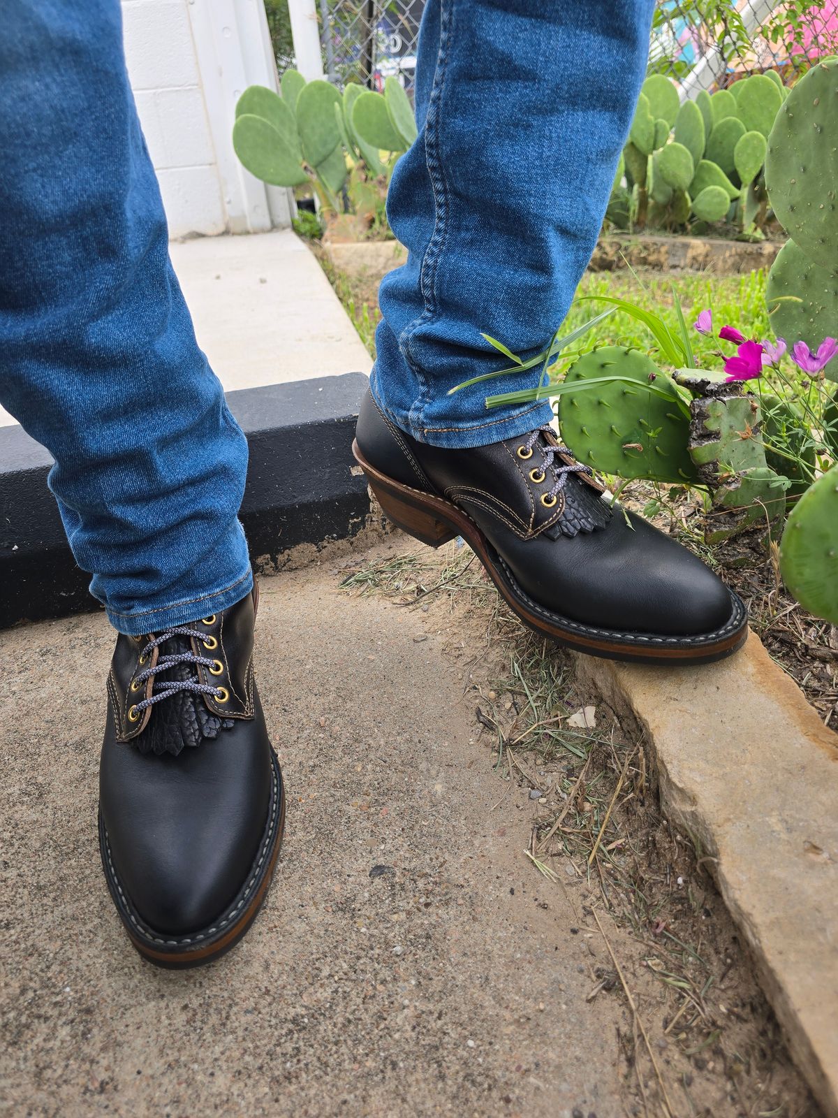 Photo by ieatnails on June 25, 2026 of the White's Packer Pointed Toe in Seidel Black Oil Tan & Horween Black Waxed Flesh.