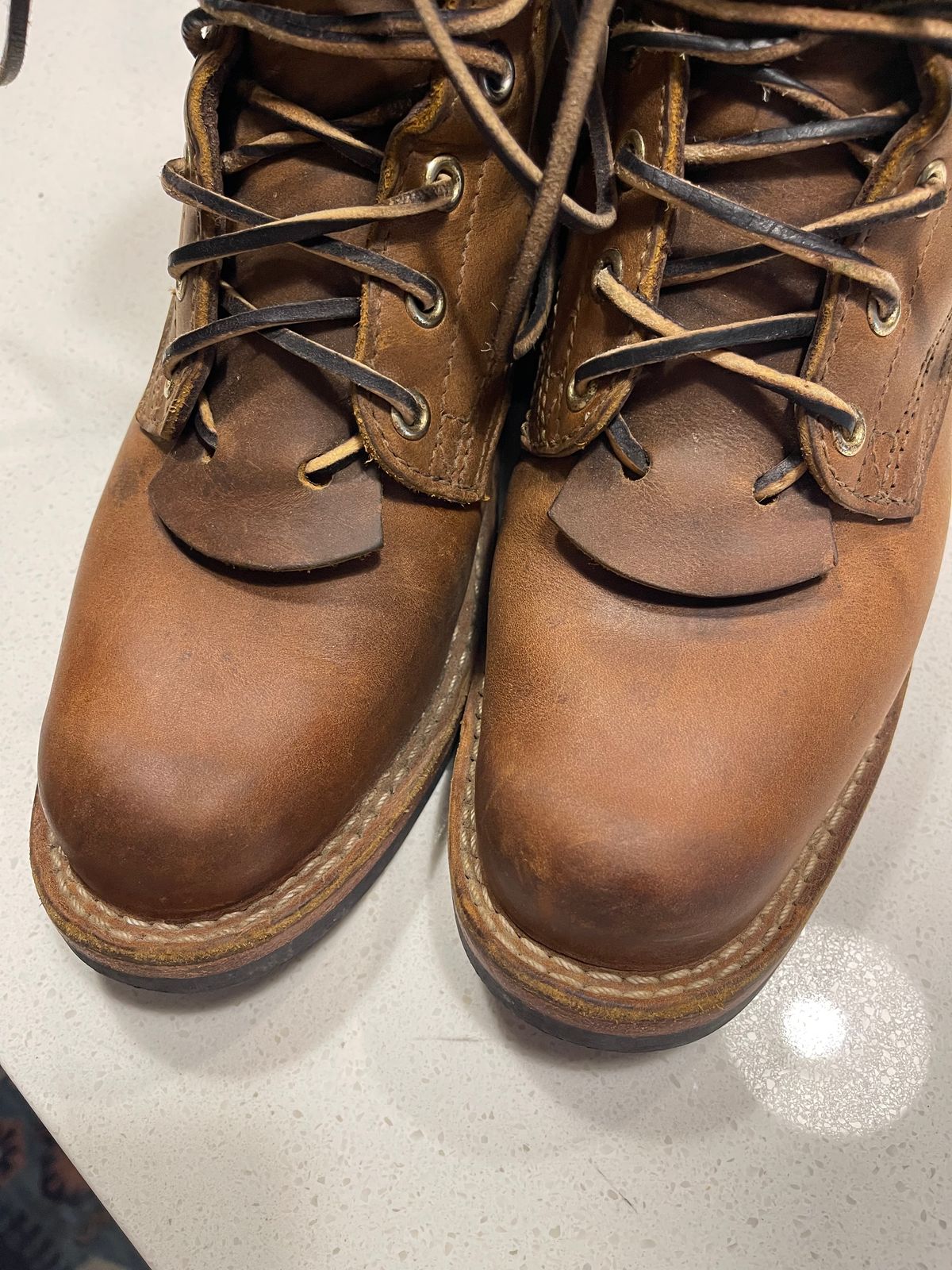 Photo by indigo_flame on September 12, 2024 of the Nicks Robert in Horween Orange Predator.