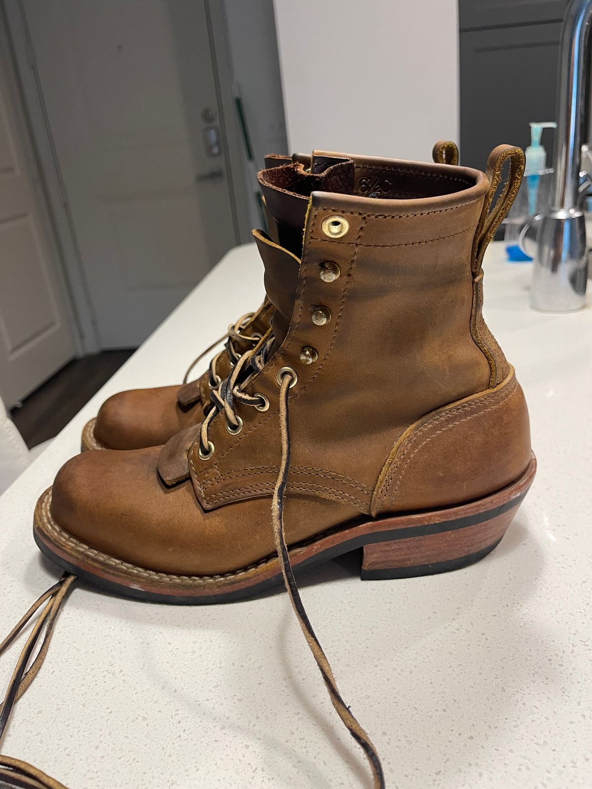 Photo by indigo_flame on September 12, 2024 of the Nicks Robert in Horween Orange Predator.