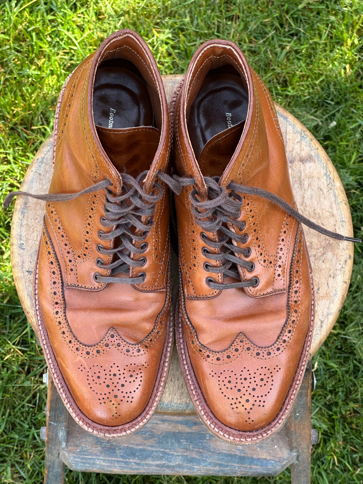 Photo by eschaye on April 4, 2025 of the Alden Short Wing Boot in Dark Tan Calfskin.