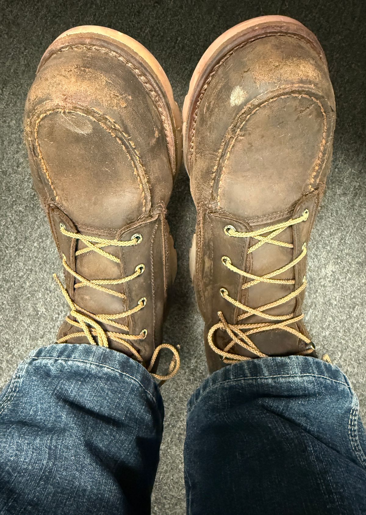 Photo by Michael on February 28, 2025 of the Red Wing 2440 Traction Tred Lite in S.B. Foot Saddle Voyageur Nubuck.