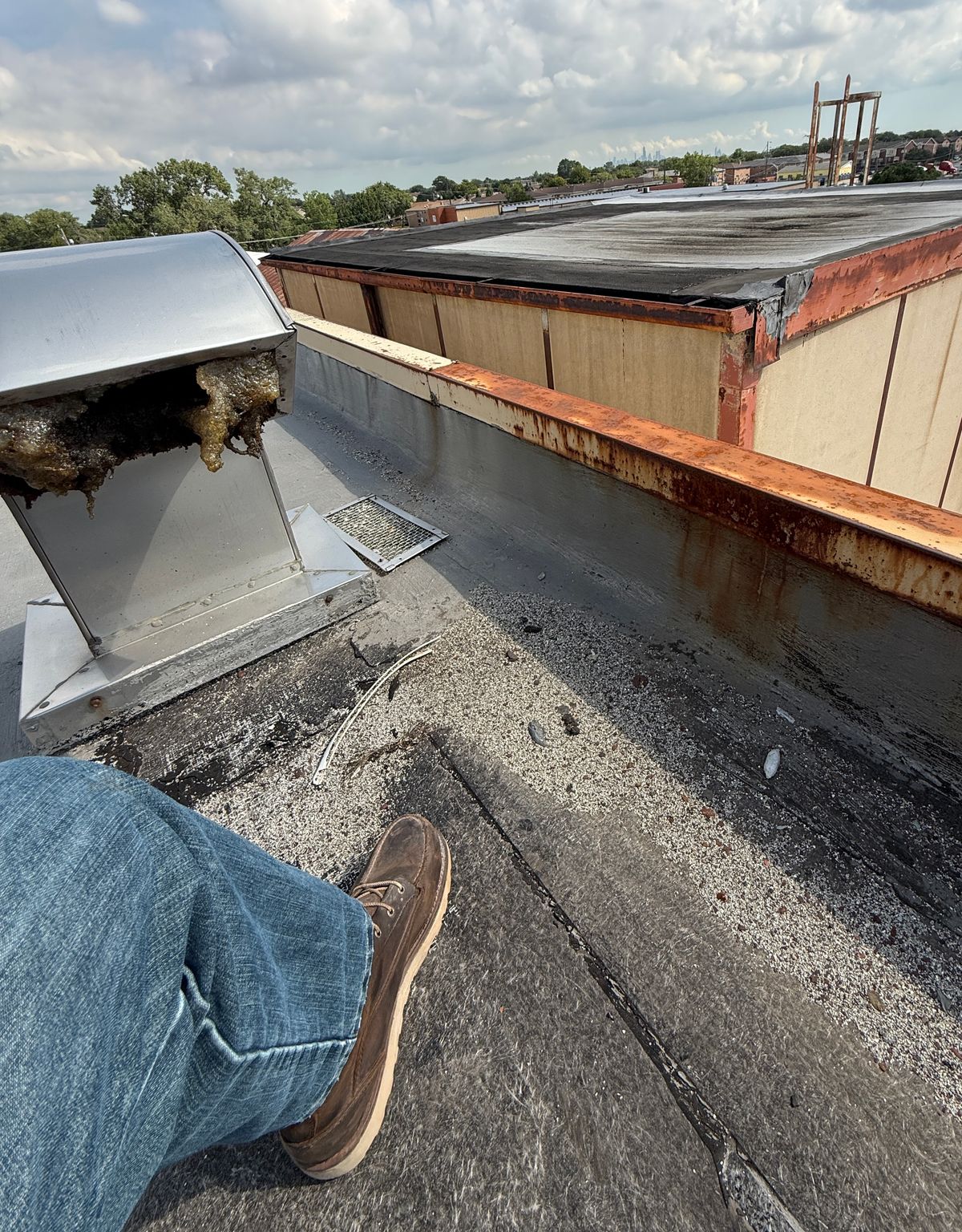 Photo by Michael on August 22, 2025 of the Red Wing 2440 Traction Tred Lite in S.B. Foot Saddle Voyageur Nubuck.