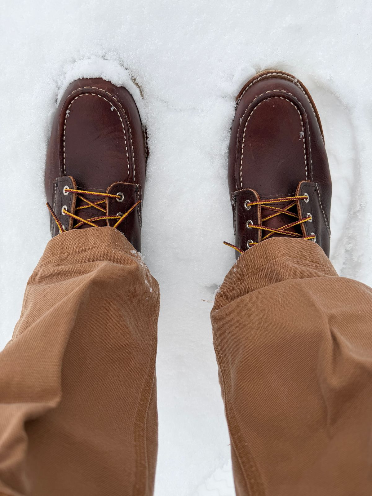 Photo by Michael on December 7, 2025 of the Red Wing 6-Inch Classic Moc in S.B. Foot Briar Oil Slick.