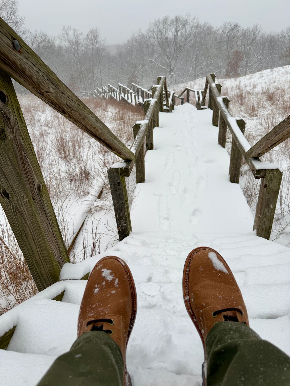 Photo by Michael on November 29, 2025 of the Grant Stone Diesel Boot in C.F. Stead Natural Waxy Commander Suede.