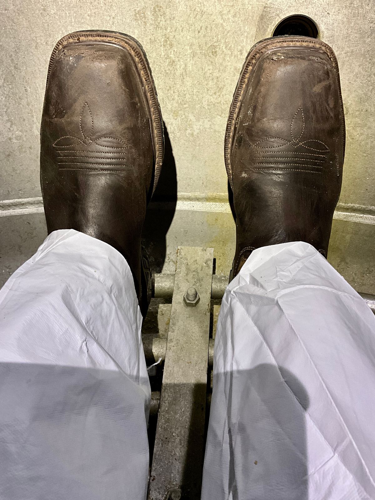 Photo by Michael on May 19, 2025 of the Red Wing 2227 Rio Flex in S.B. Foot Black Boomer.